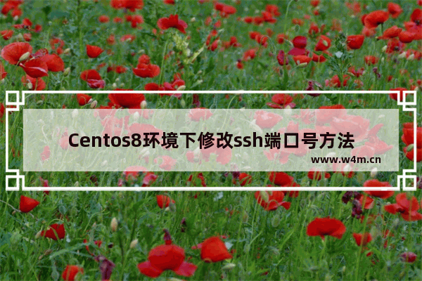 Centos8环境下修改ssh端口号方法