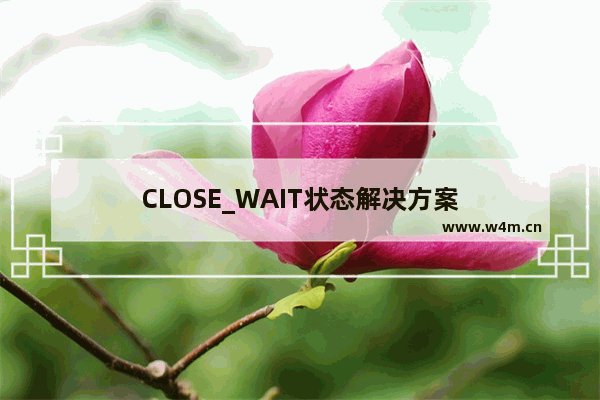 CLOSE_WAIT状态解决方案