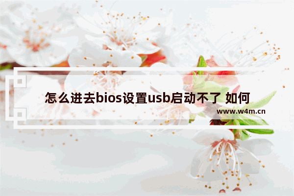 怎么进去bios设置usb启动不了 如何进入BIOS并设置USB启动？