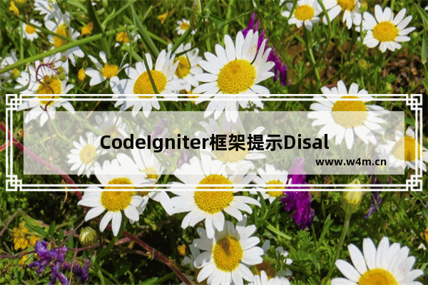 CodeIgniter框架提示Disallowed Key Characters的解决办法