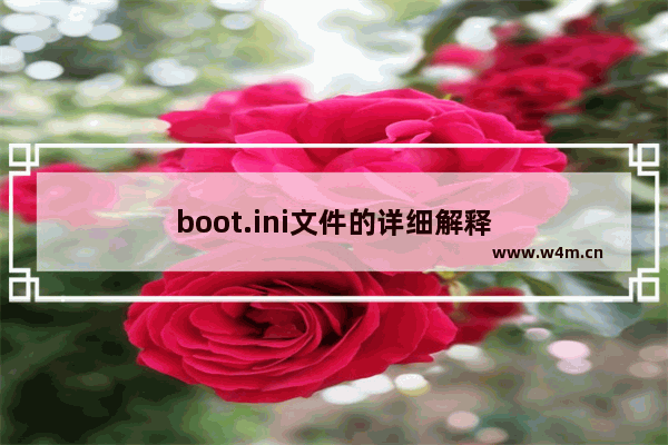 boot.ini文件的详细解释