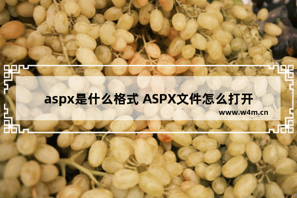 aspx是什么格式 ASPX文件怎么打开