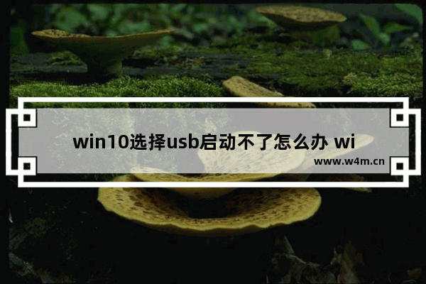 win10选择usb启动不了怎么办 win10无法从USB启动，应该怎么办？