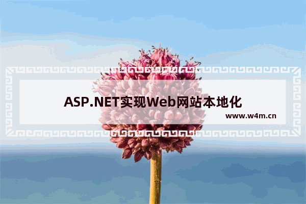 ASP.NET实现Web网站本地化