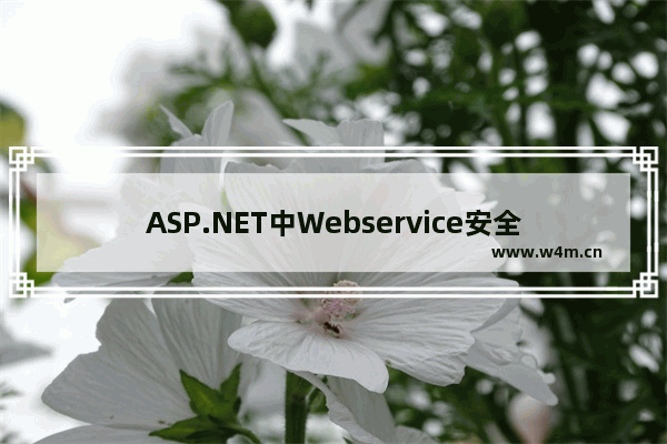 ASP.NET中Webservice安全 实现访问权限控制