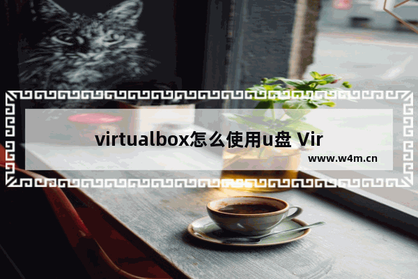 virtualbox怎么使用u盘 VirtualBox使用U盘的方法