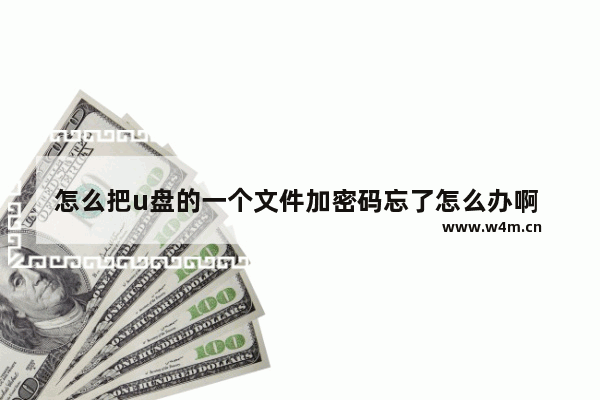 怎么把u盘的一个文件加密码忘了怎么办啊 U盘文件加密密码遗忘怎么办