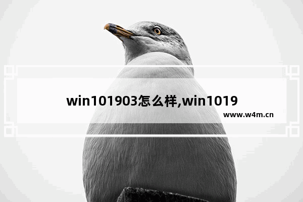 win101903怎么样,win101903和1803区别