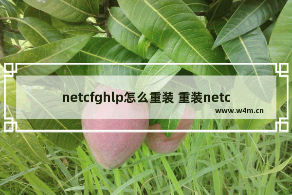 netcfghlp怎么重装 重装netcfghlp的方法