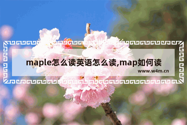 maple怎么读英语怎么读,map如何读