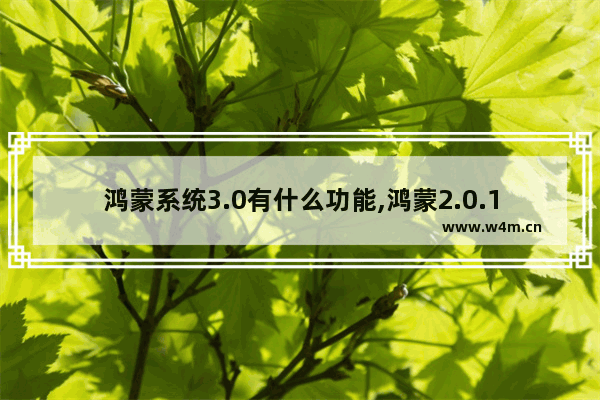 鸿蒙系统3.0有什么功能,鸿蒙2.0.1新功能