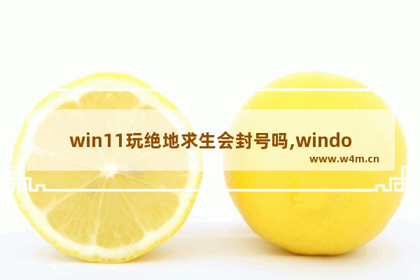 win11玩绝地求生会封号吗,windows11封号