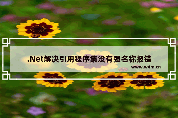 .Net解决引用程序集没有强名称报错