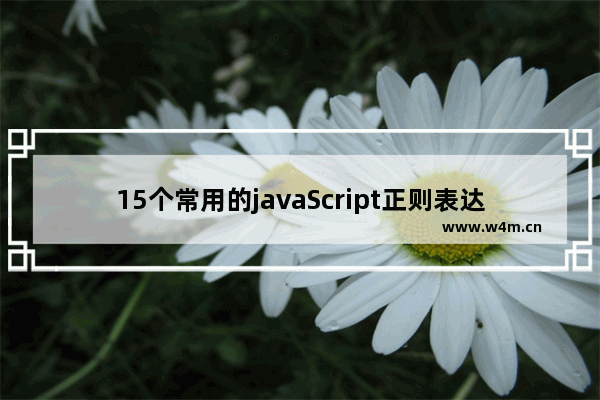 15个常用的javaScript正则表达式(收藏)