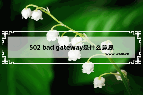 502 bad gateway是什么意思 502 bad gateway错误解决方法