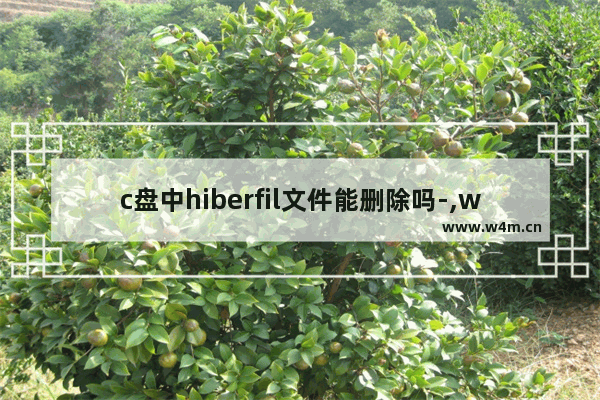 c盘中hiberfil文件能删除吗-,win10删除hiberfil