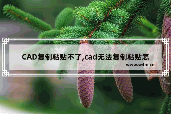 CAD复制粘贴不了,cad无法复制粘贴怎么解决