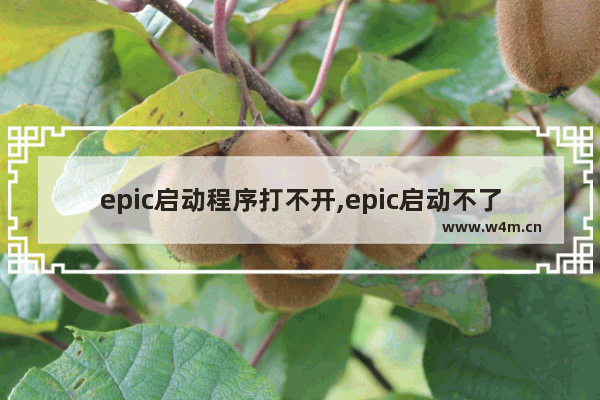 epic启动程序打不开,epic启动不了怎么办