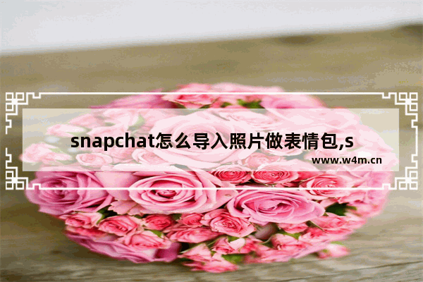 snapchat怎么导入照片做表情包,snapchat导入照片加特效