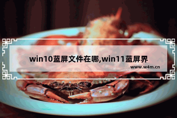 win10蓝屏文件在哪,win11蓝屏界面