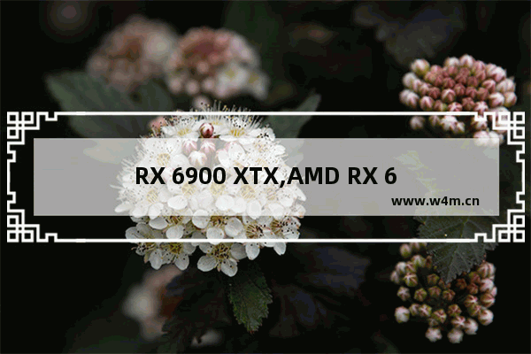 RX 6900 XTX,AMD RX 6900 XT