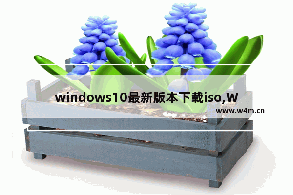 windows10最新版本下载iso,Windows10最新版下载