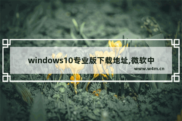 windows10专业版下载地址,微软中国下载中心win10