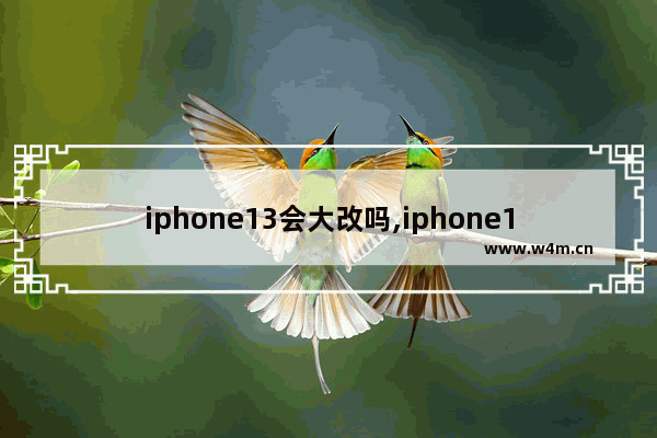 iphone13会大改吗,iphone13会大改吗