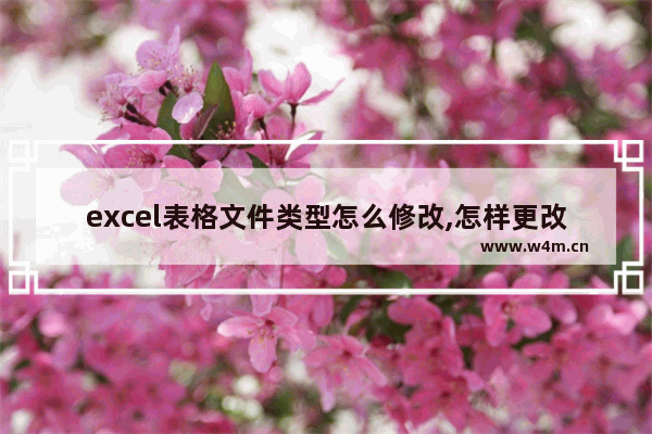 excel表格文件类型怎么修改,怎样更改excel文件类型