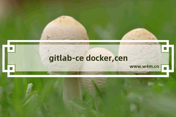 gitlab-ce docker,centos上安装docker