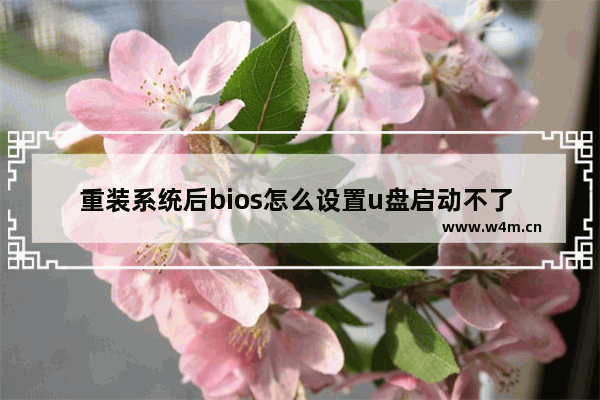 重装系统后bios怎么设置u盘启动不了 重装系统后BIOS无法识别U盘