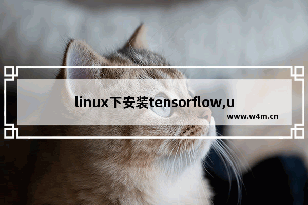 linux下安装tensorflow,ubuntu安装tensorflow教程