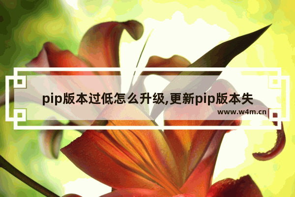 pip版本过低怎么升级,更新pip版本失败