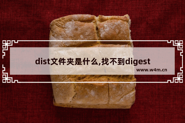 dist文件夹是什么,找不到digest文件