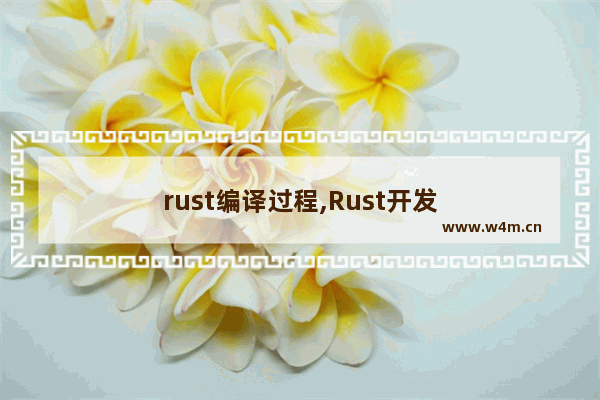 rust编译过程,Rust开发