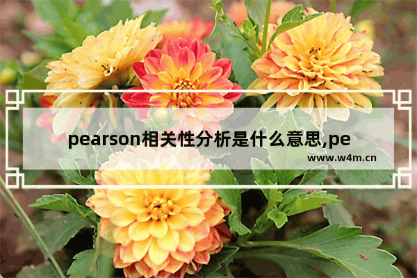 pearson相关性分析是什么意思,pearson相关性分析结果在论文中如何描述