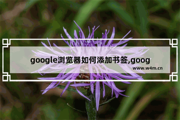 google浏览器如何添加书签,google浏览器书签栏