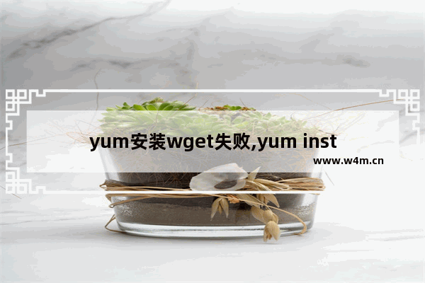 yum安装wget失败,yum install -y wget && wget -O install