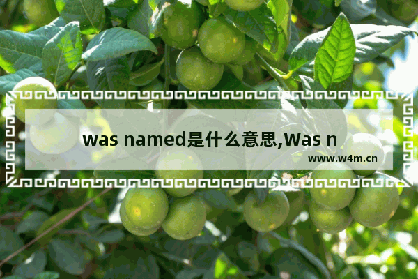 was named是什么意思,Was named