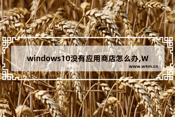 windows10没有应用商店怎么办,Win10应用商店不见了