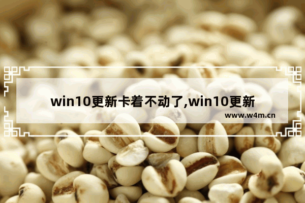 win10更新卡着不动了,win10更新卡死 无法启动