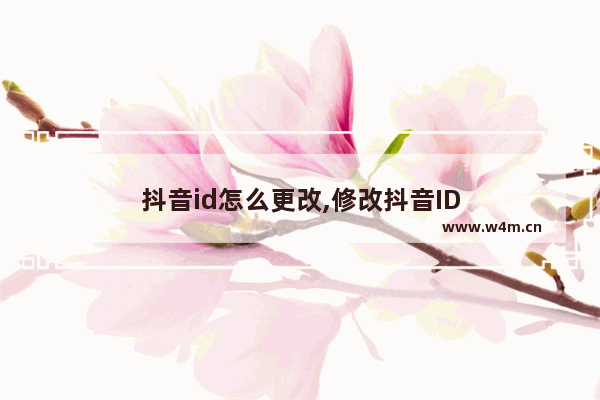 抖音id怎么更改,修改抖音ID