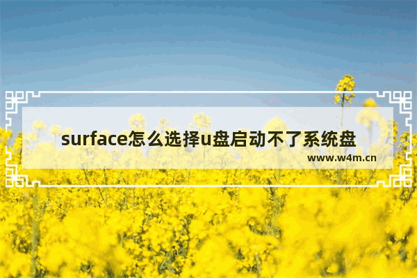 surface怎么选择u盘启动不了系统盘 如何解决Surface无法使用U盘引导系统的问题