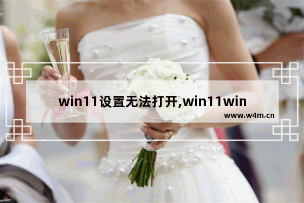 win11设置无法打开,win11windows键打不开