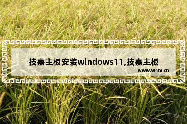 技嘉主板安装windows11,技嘉主板无法安装win10