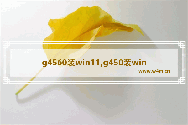 g4560装win11,g450装win10