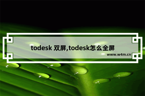 todesk 双屏,todesk怎么全屏