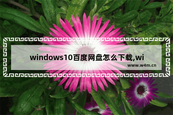 windows10百度网盘怎么下载,windows怎么下载百度网盘