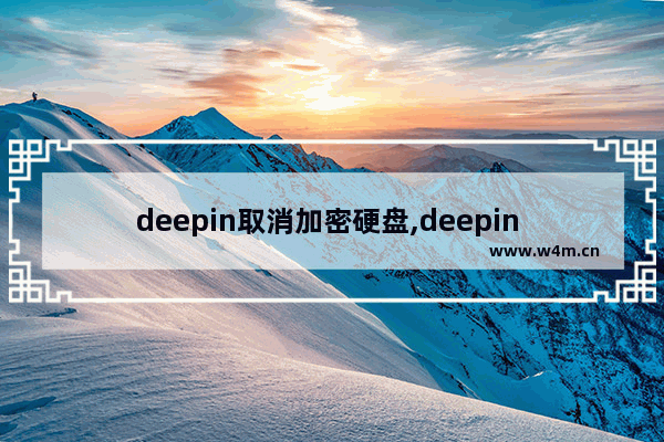 deepin取消加密硬盘,deepin 密码