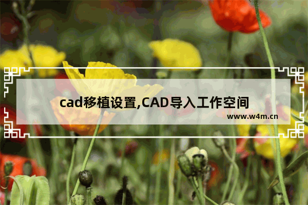 cad移植设置,CAD导入工作空间